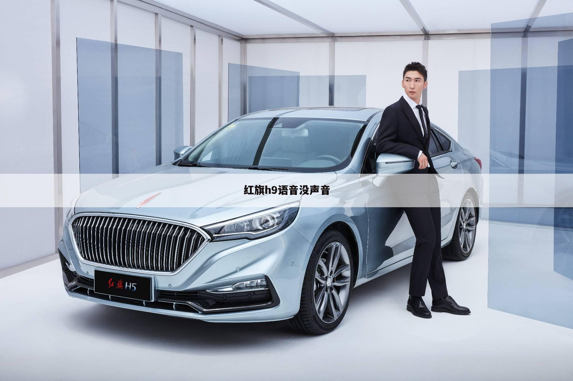 红旗h9语音没声音