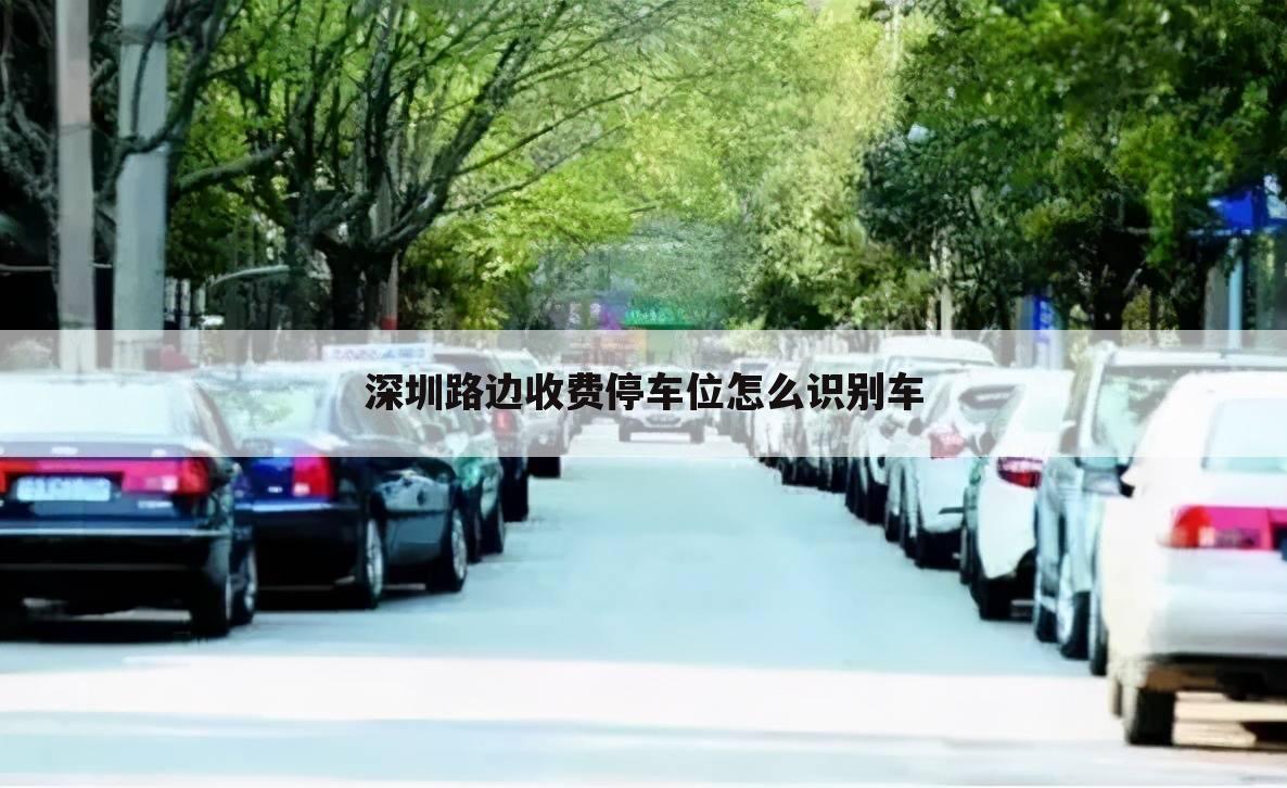 深圳路边收费停车位怎么识别车