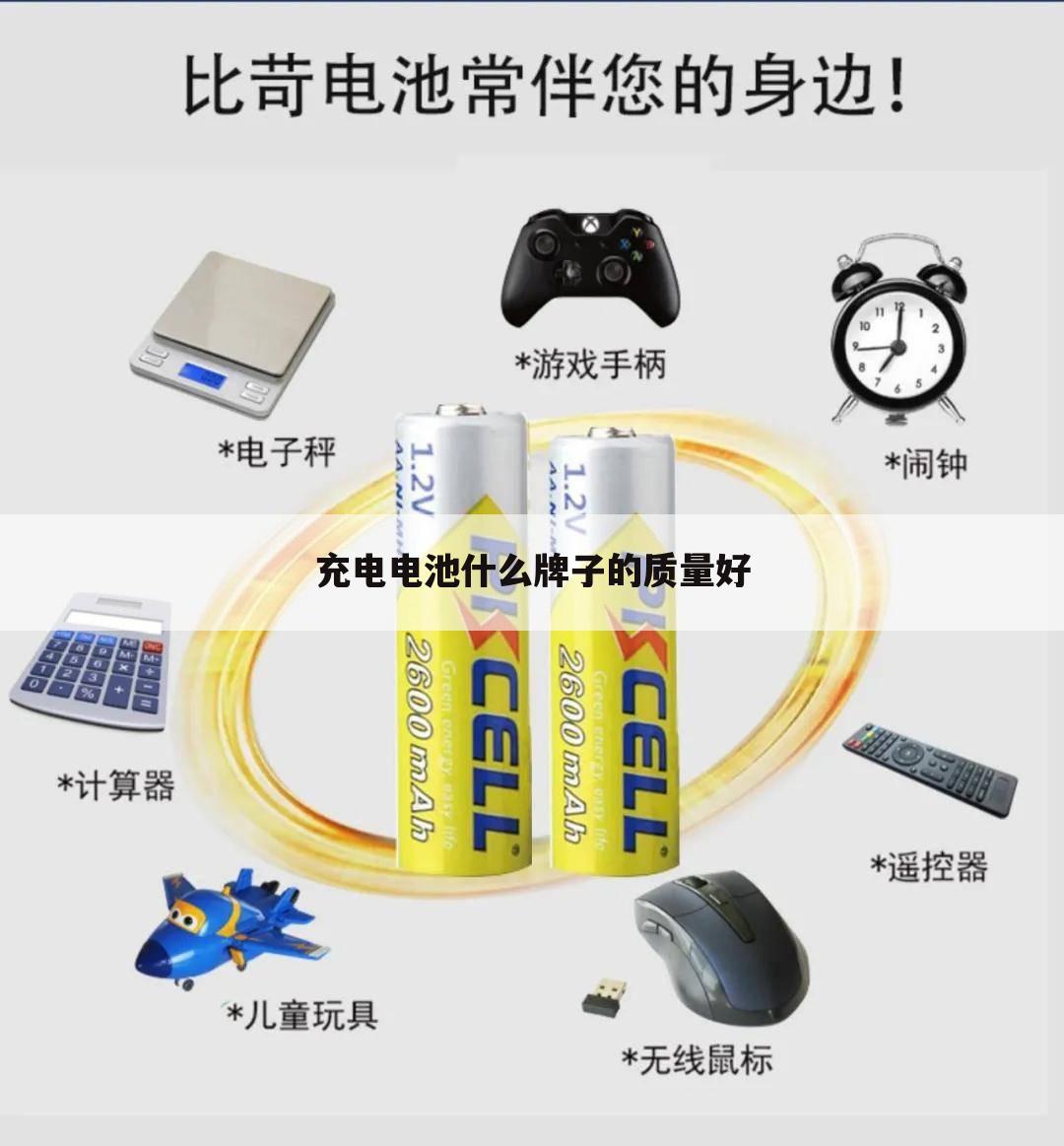 充电电池什么牌子的质量好