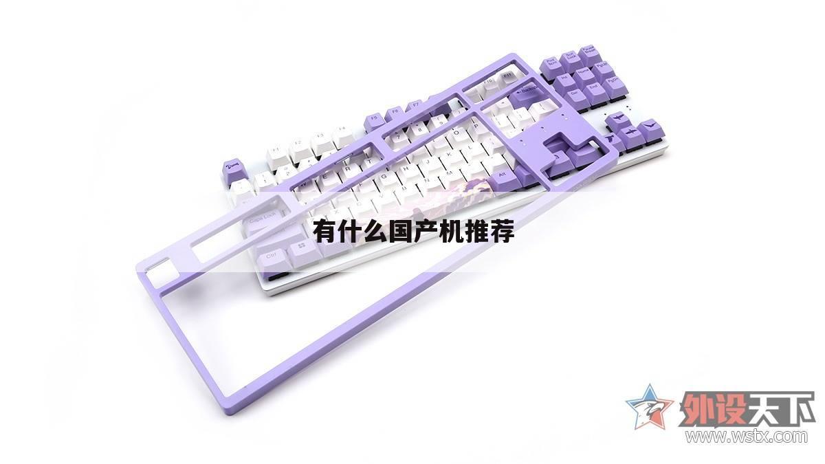 有什么国产机推荐