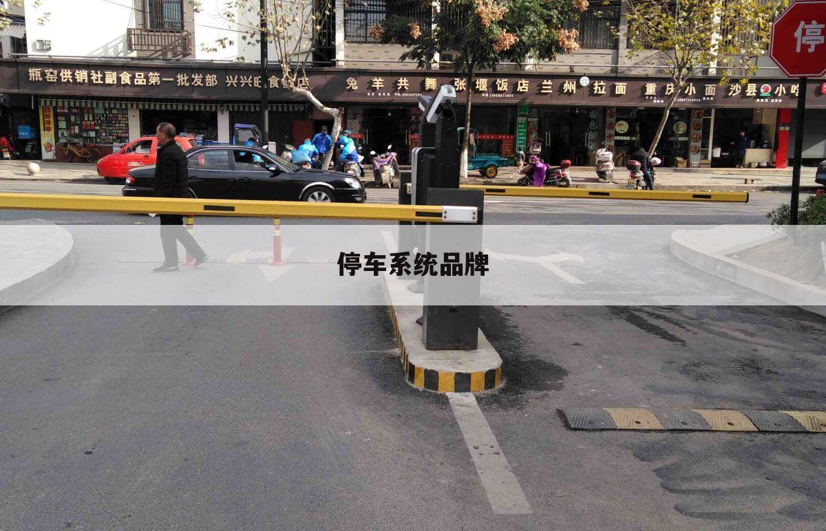 停车系统品牌