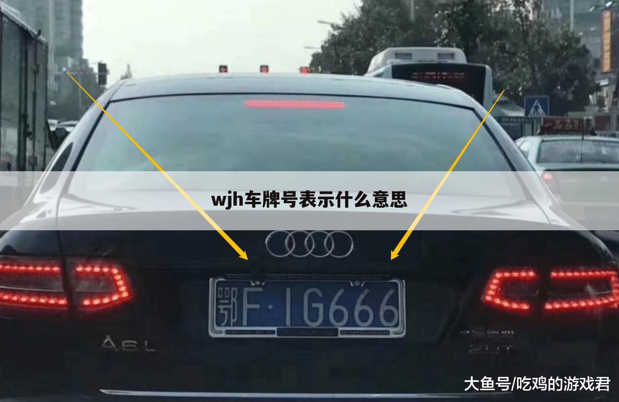 wjh车牌号表示什么意思