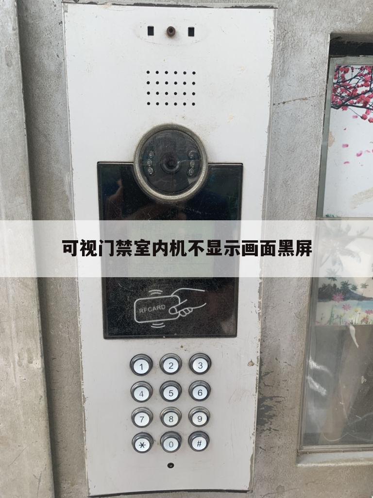 可视门禁室内机不显示画面黑屏
