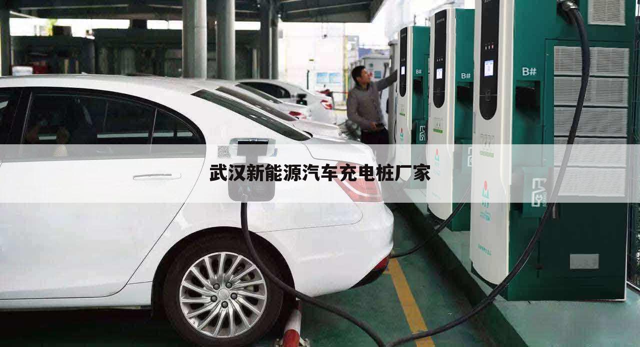 武汉新能源汽车充电桩厂家