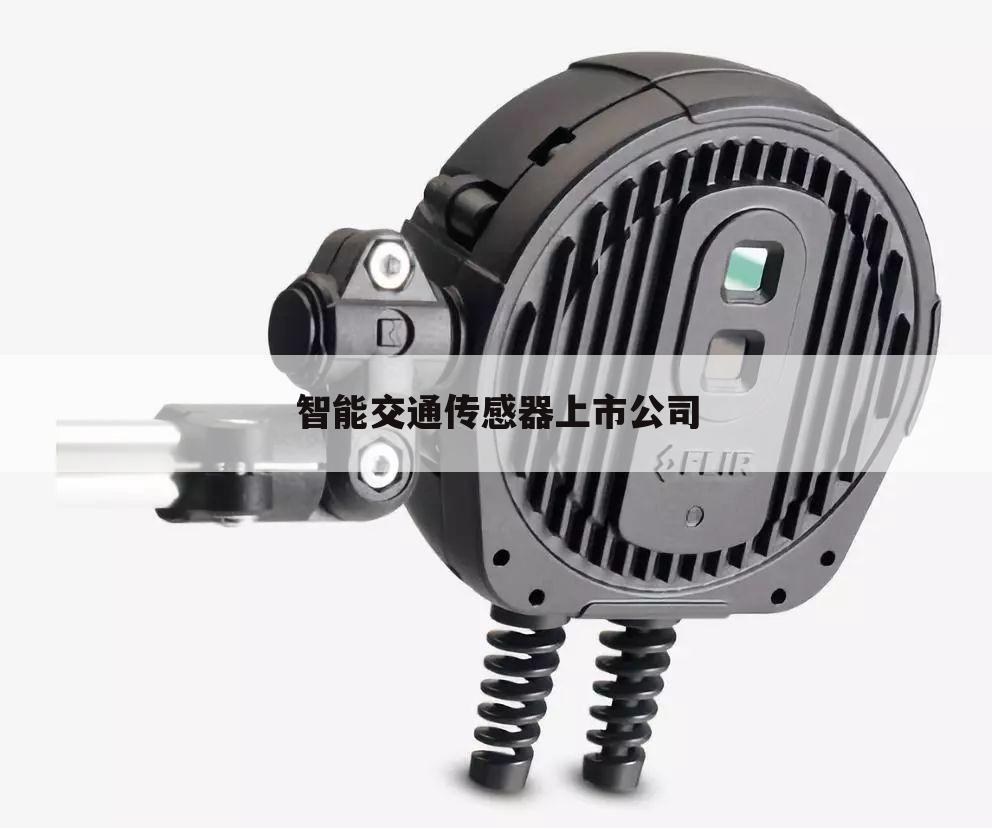 智能交通传感器上市公司