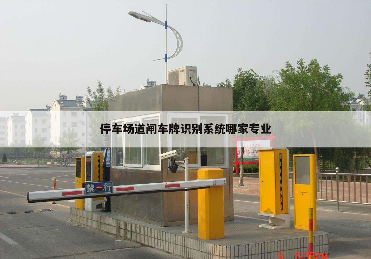 停车场道闸车牌识别系统哪家专业