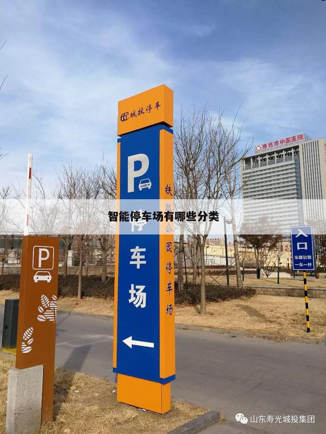智能停车场有哪些分类