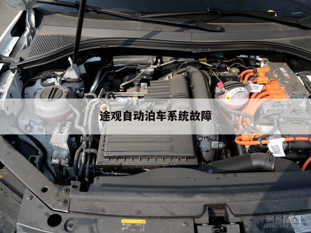 途观自动泊车系统故障