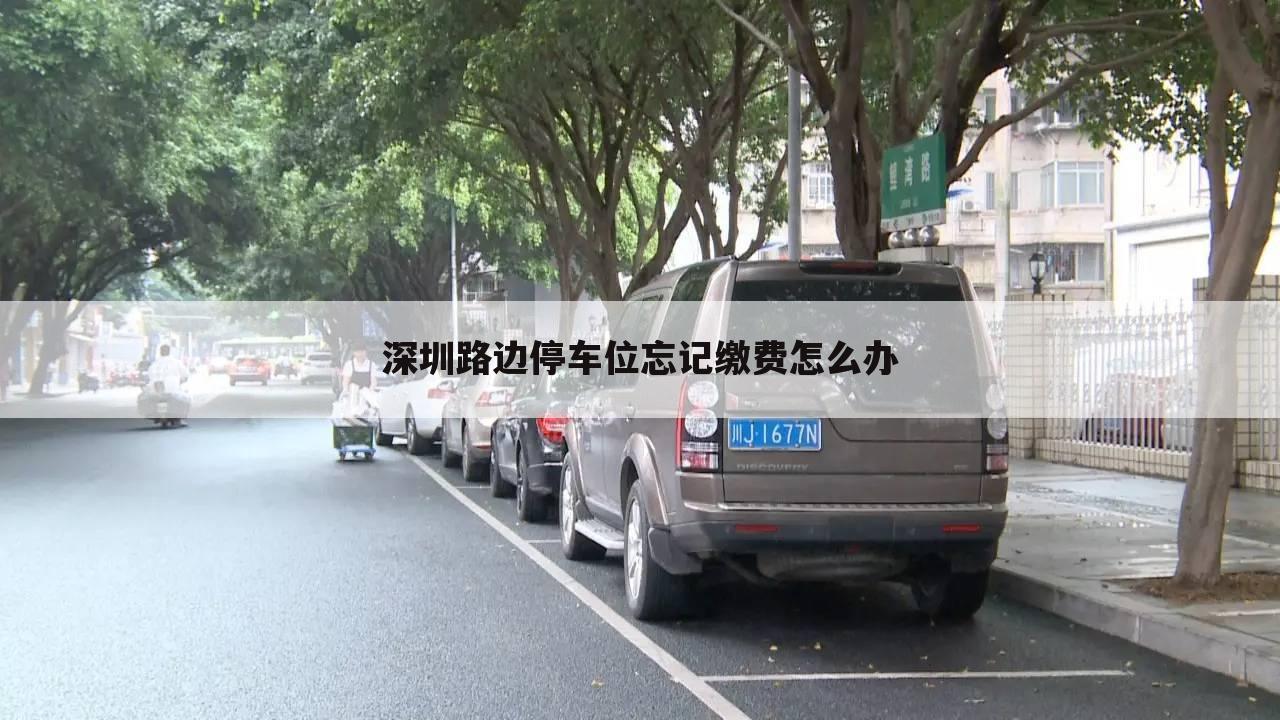 深圳路边停车位忘记缴费怎么办
