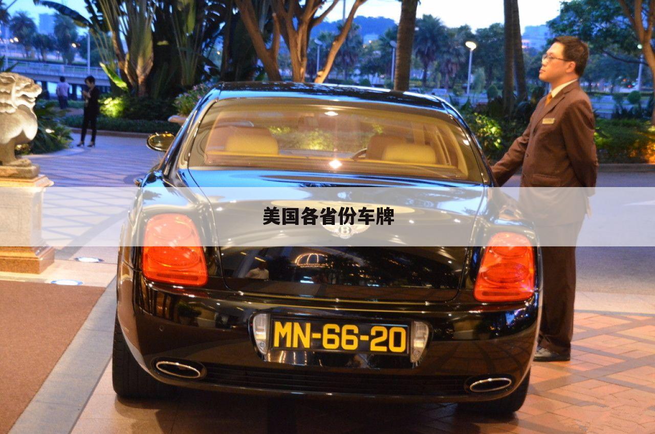 美国各省份车牌