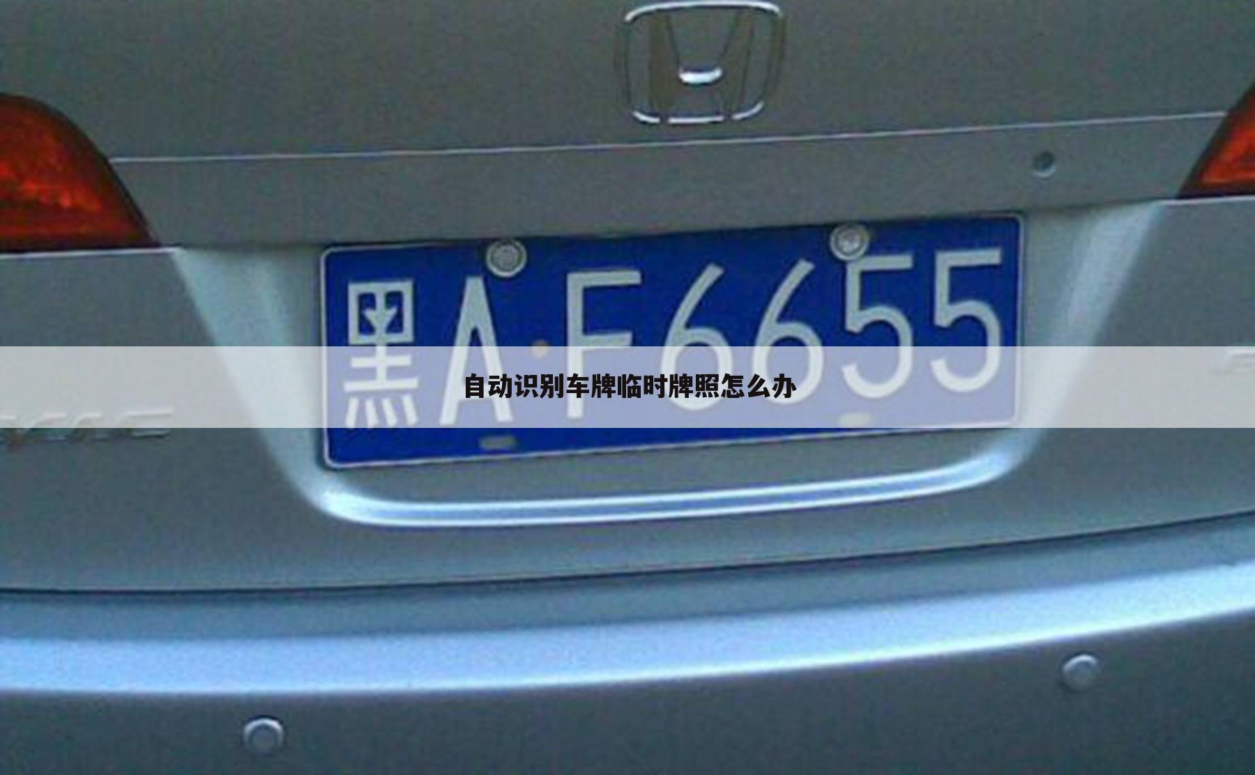 自动识别车牌临时牌照怎么办