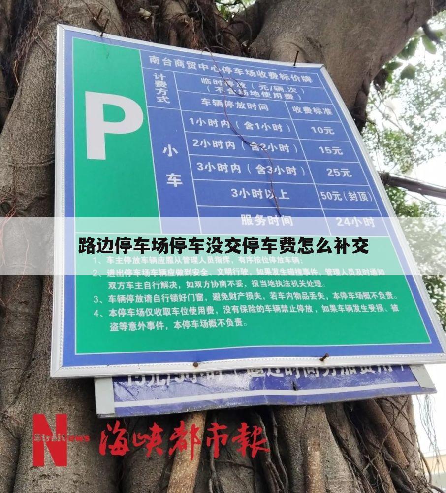 路边停车场停车没交停车费怎么补交