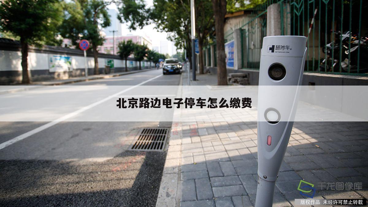 北京路边电子停车怎么缴费