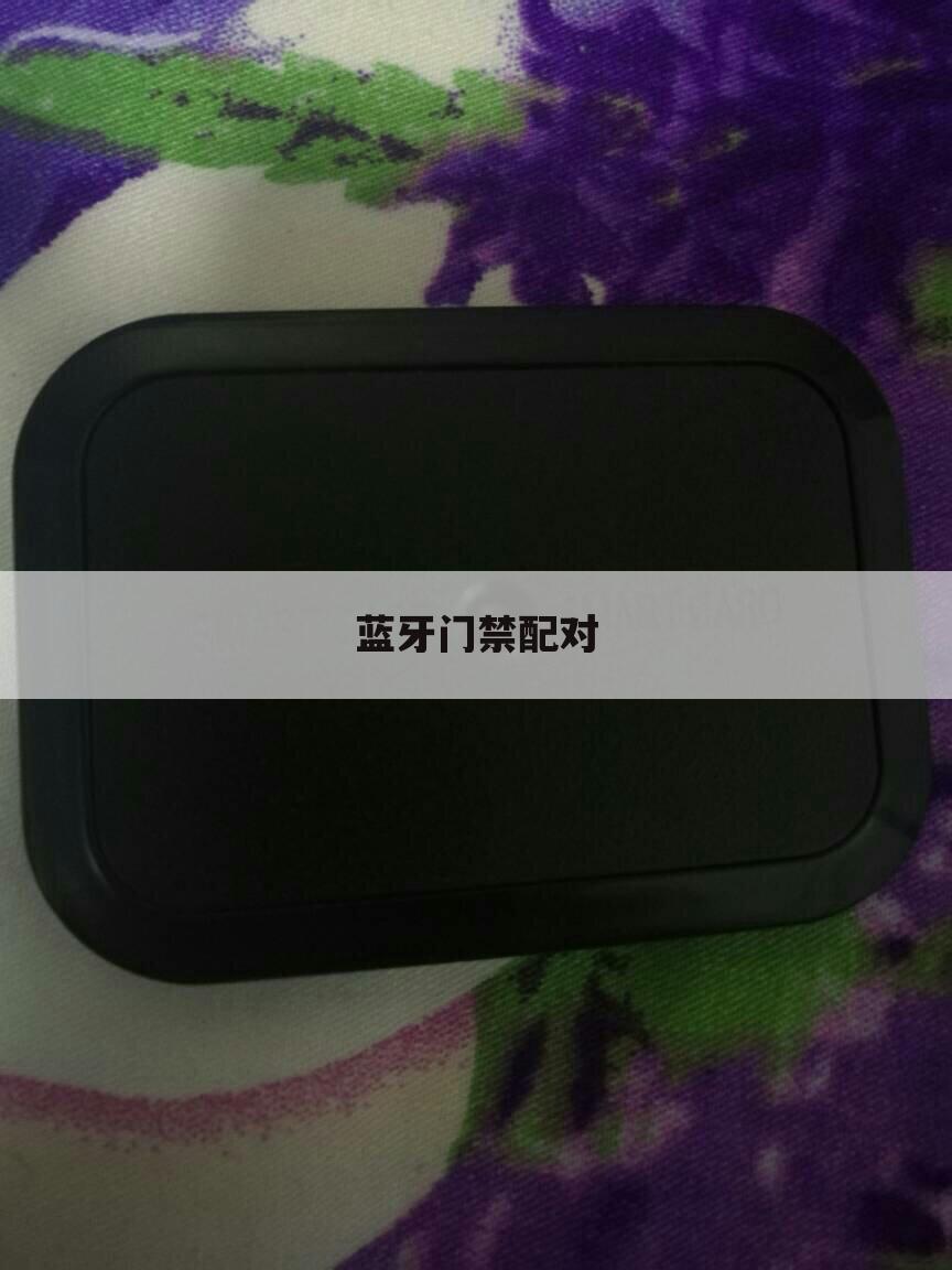 蓝牙门禁配对