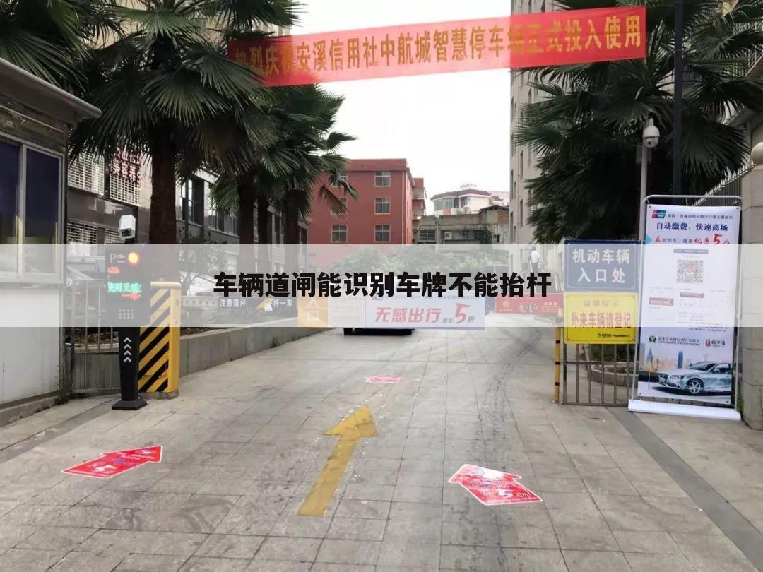 车辆道闸能识别车牌不能抬杆