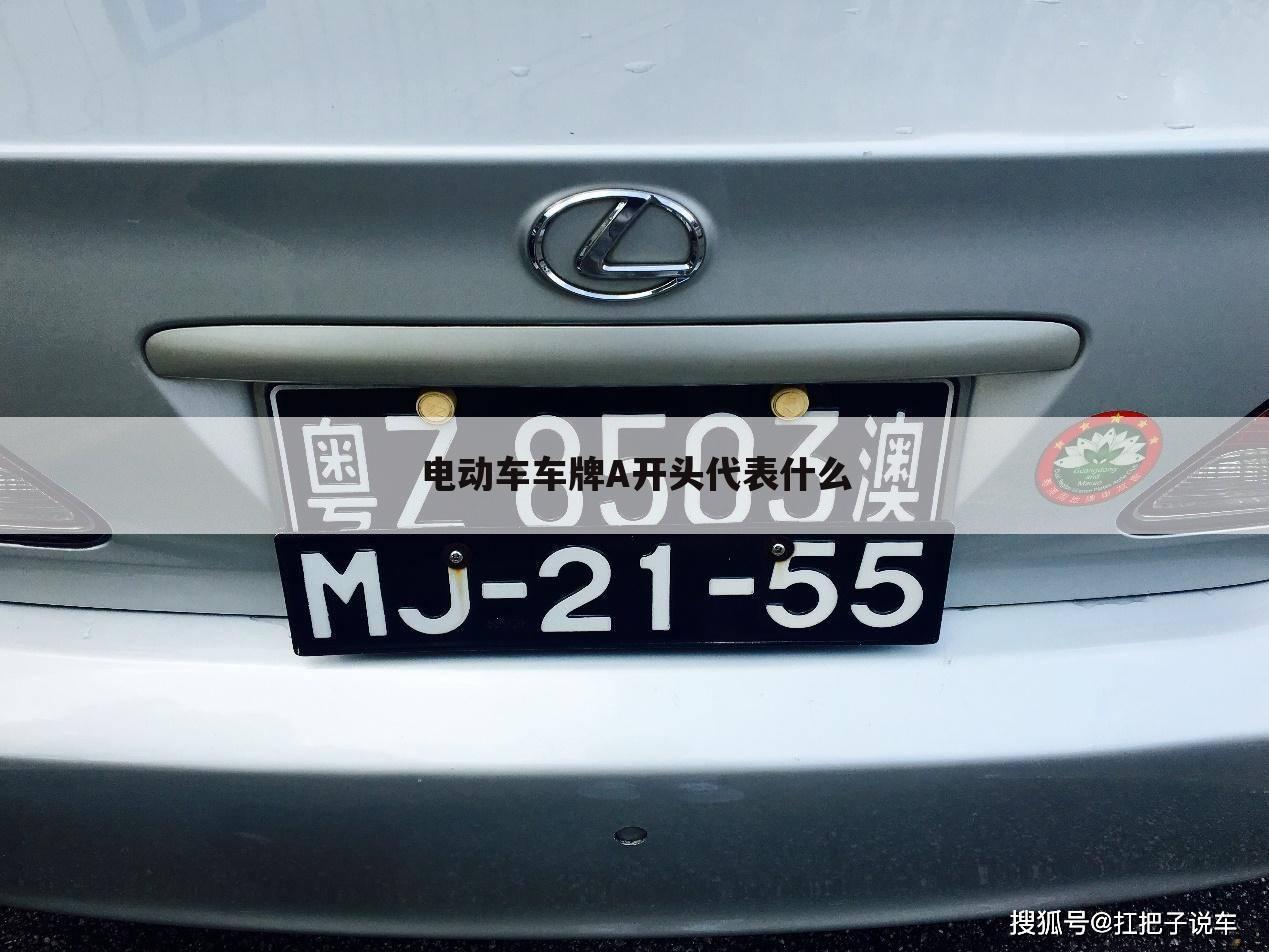 电动车车牌A开头代表什么