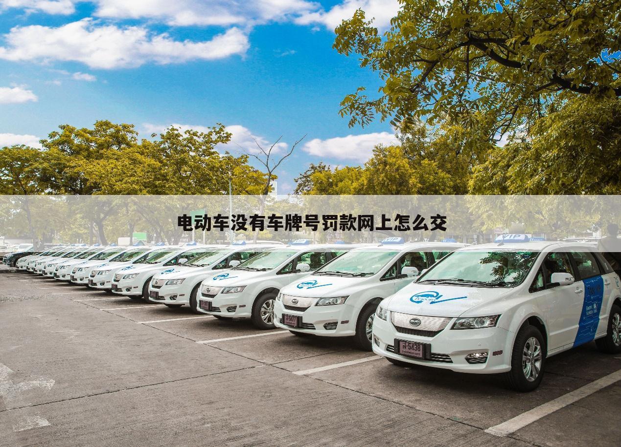 电动车没有车牌号罚款网上怎么交