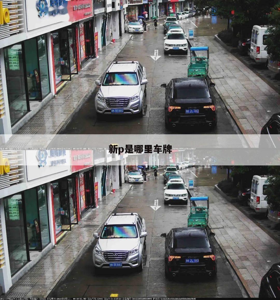 新p是哪里车牌