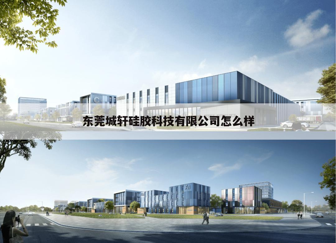 东莞城轩硅胶科技有限公司怎么样