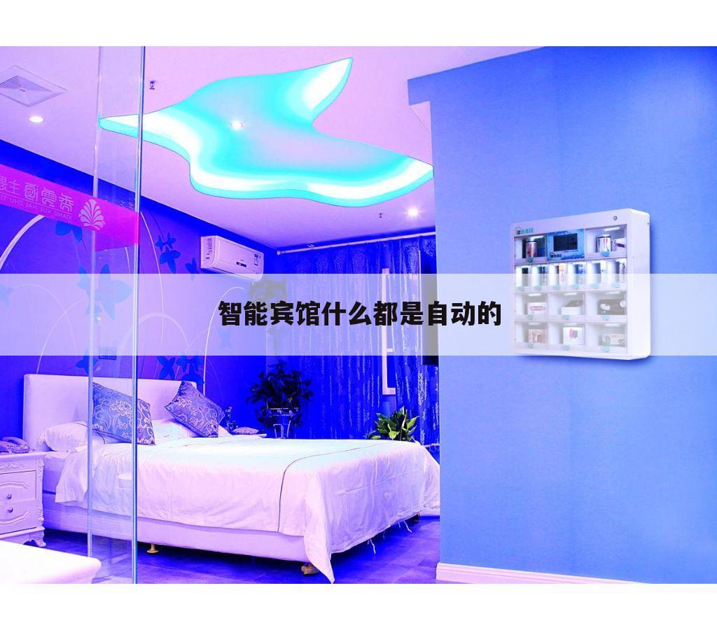 智能宾馆什么都是自动的