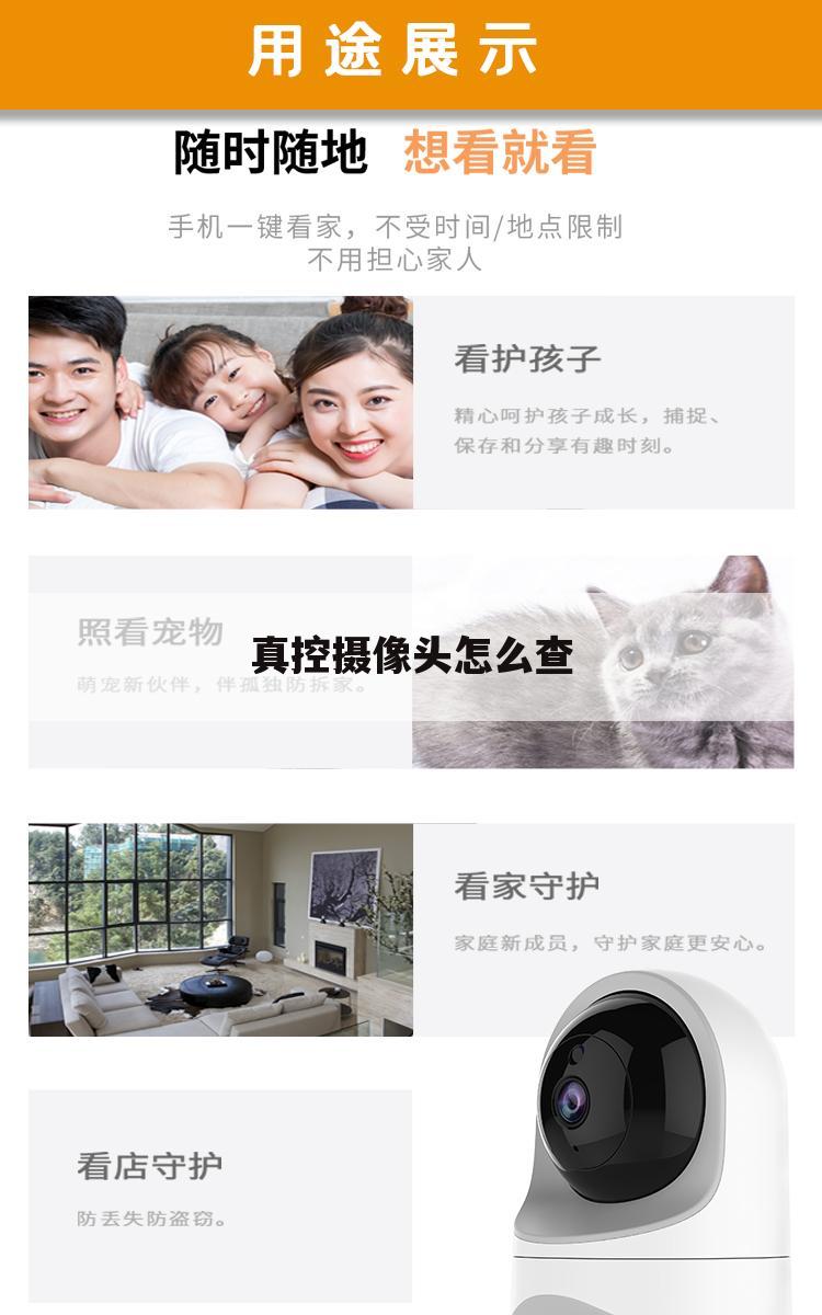 真控摄像头怎么查