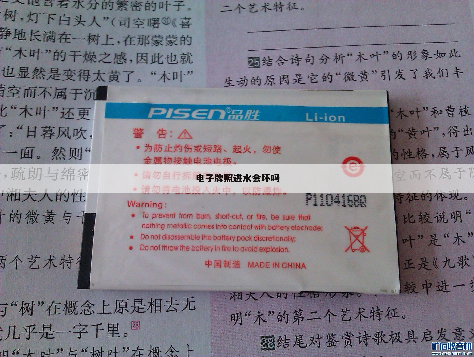电子牌照进水会坏吗