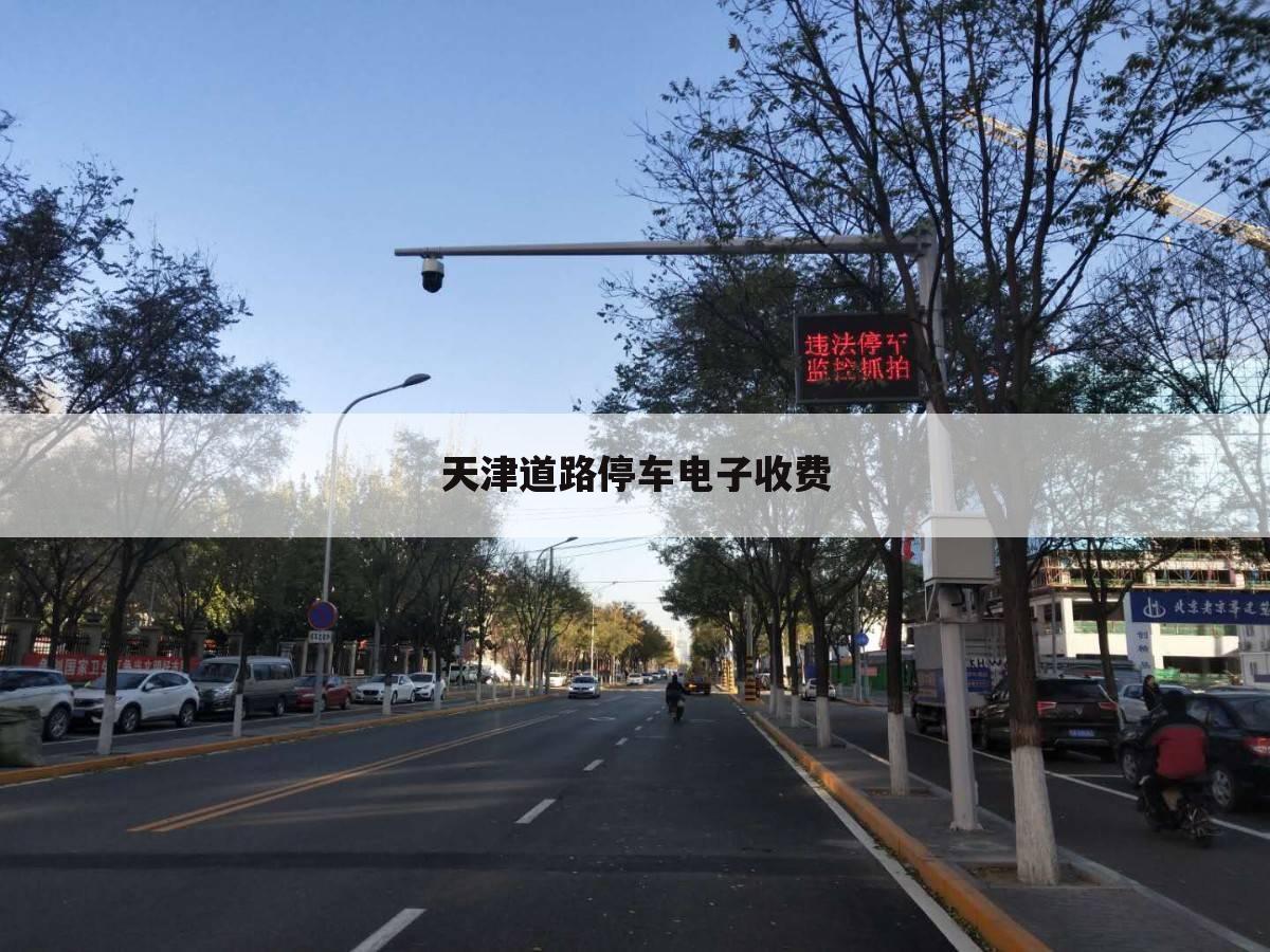 天津道路停车电子收费