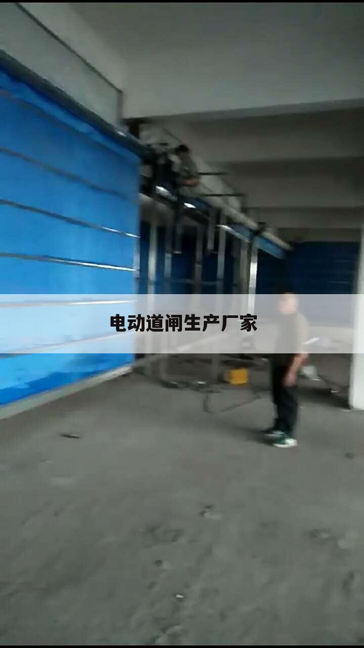 电动道闸生产厂家