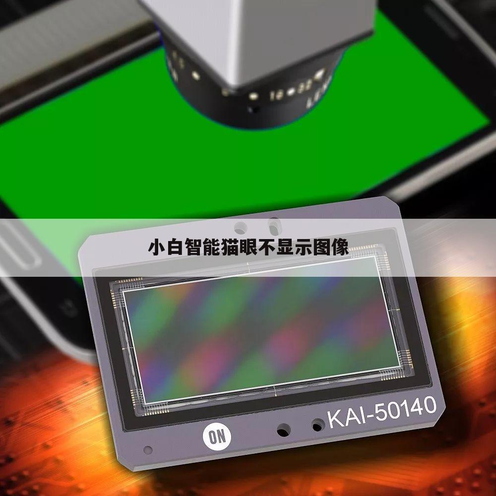 小白智能猫眼不显示图像