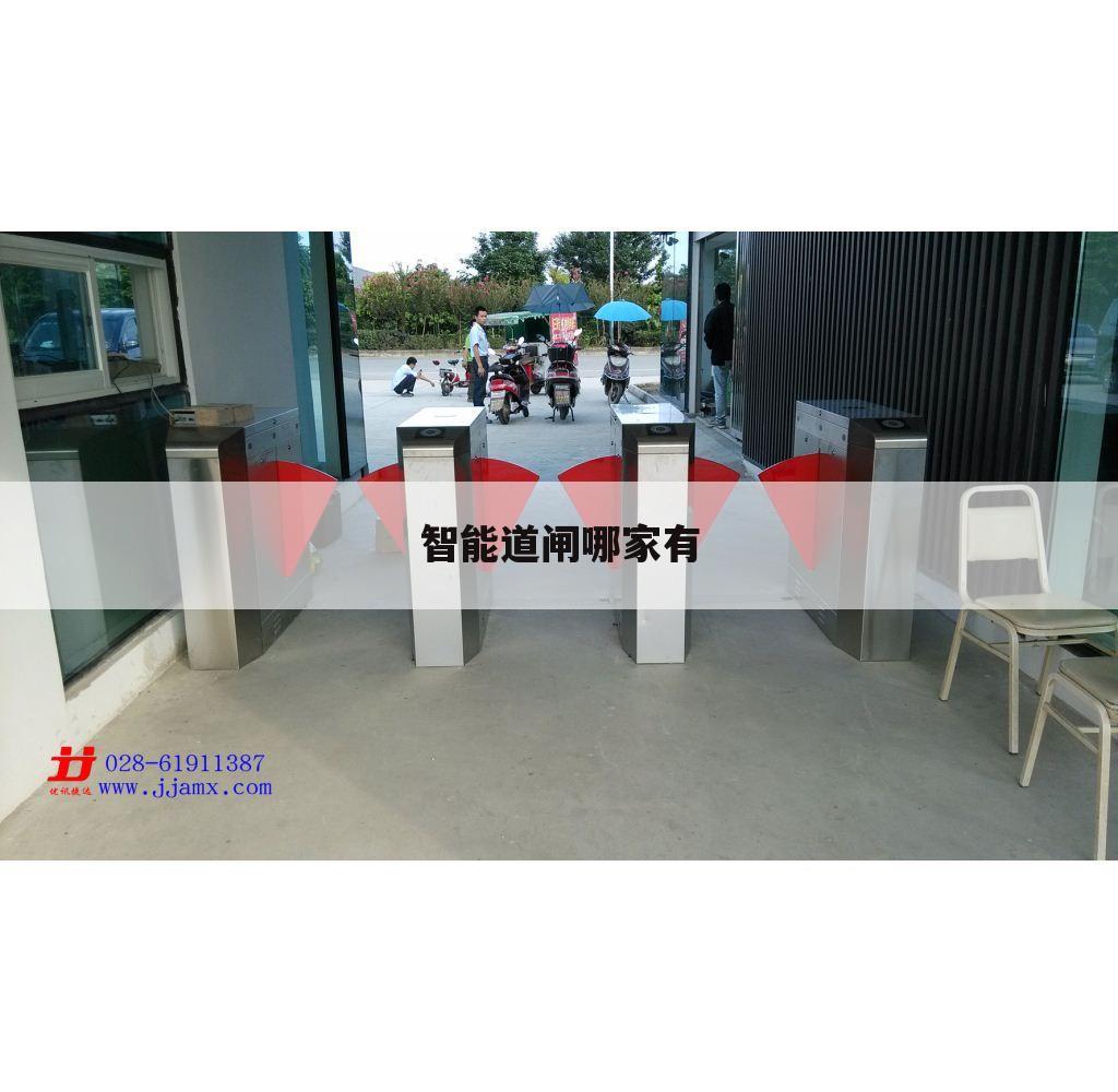 智能道闸哪家有