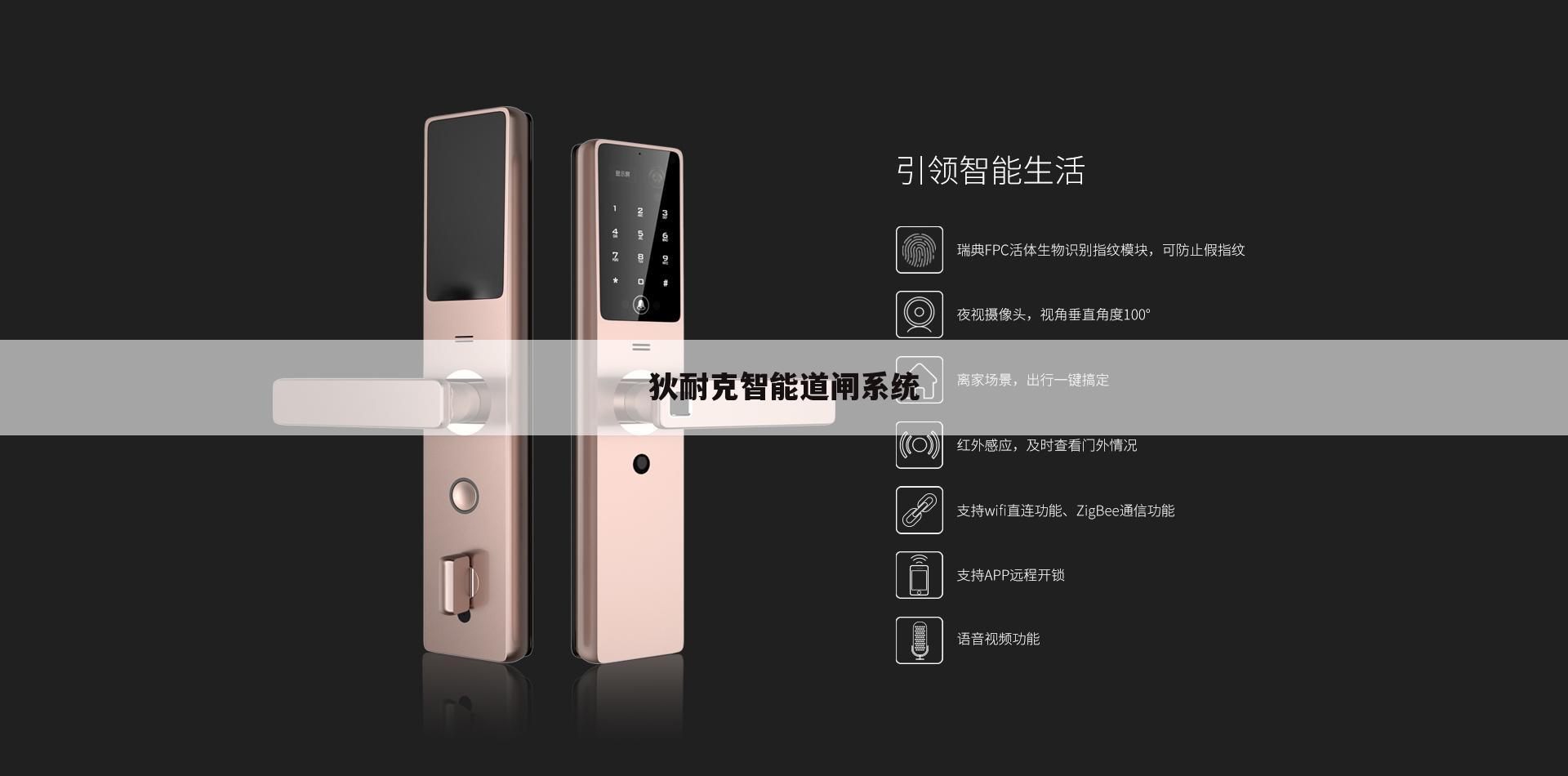 狄耐克智能道闸系统