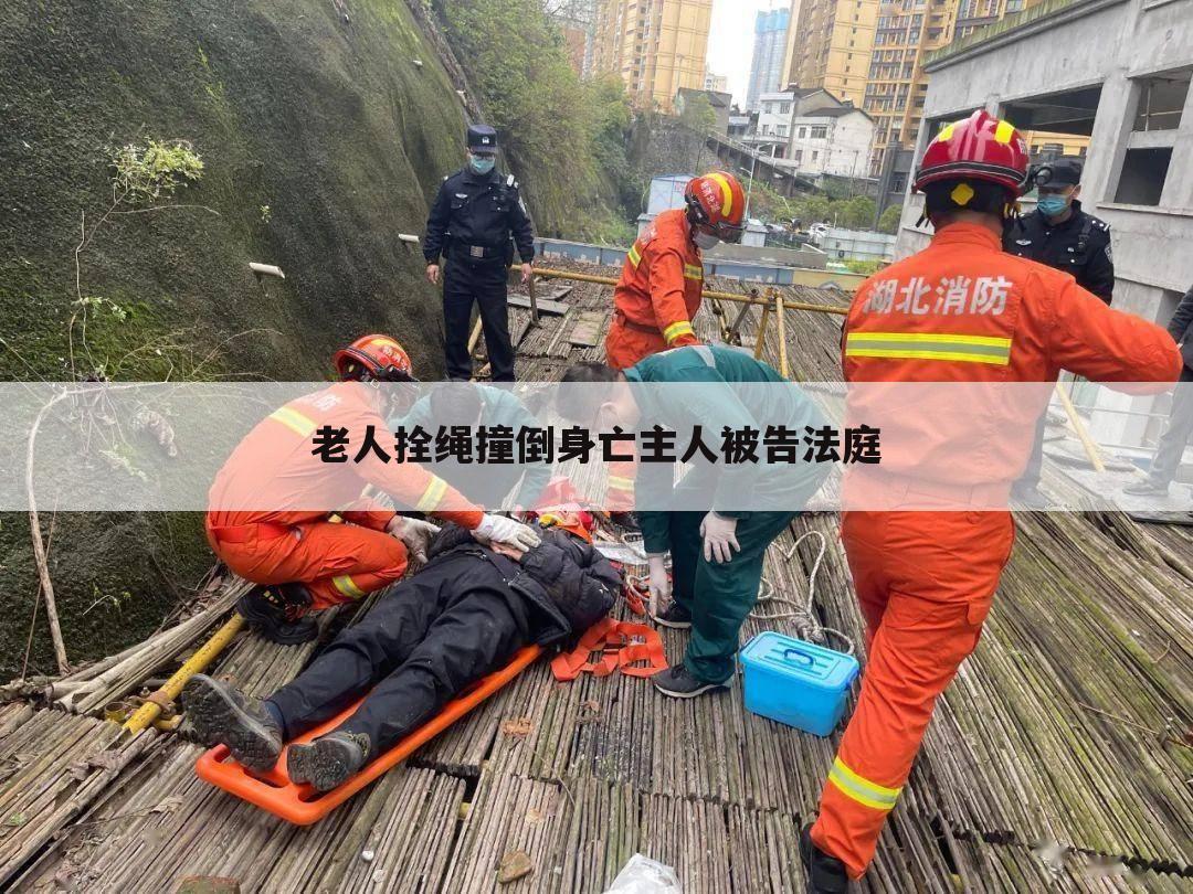 老人拴绳撞倒身亡主人被告法庭