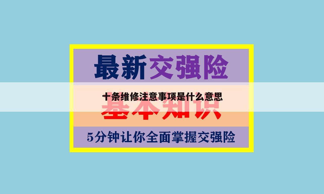 十条维修注意事项是什么意思