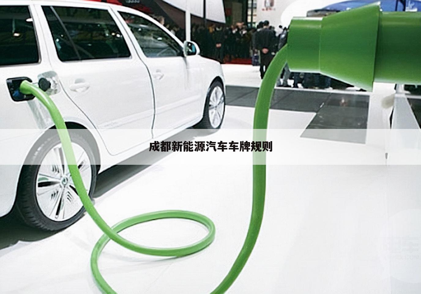 成都新能源汽车车牌规则