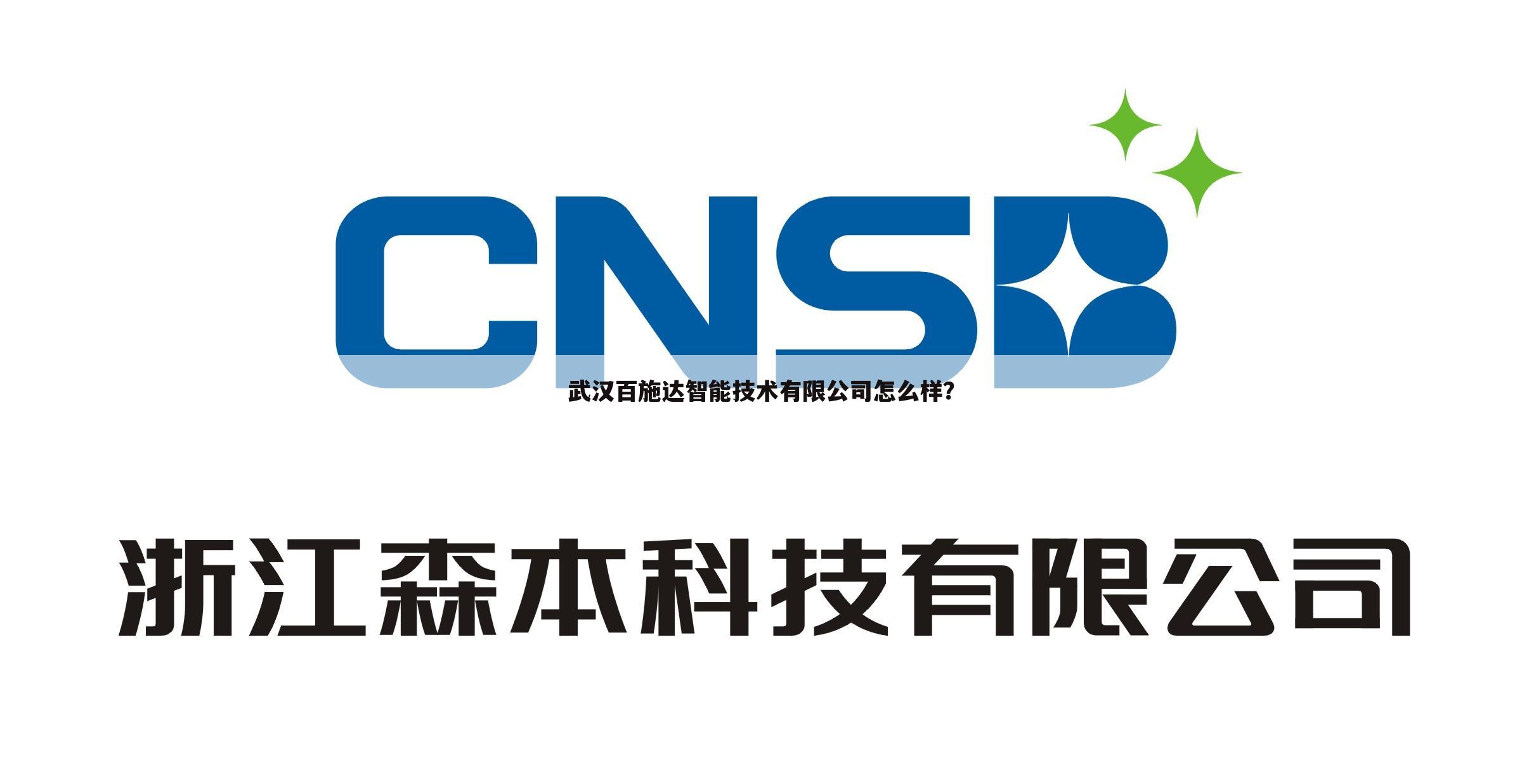 武汉百施达智能技术有限公司怎么样?